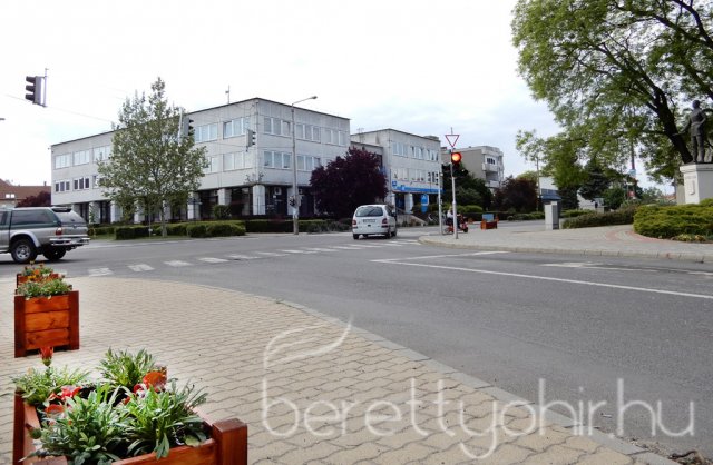 Virágos Berettyóújfalu 09